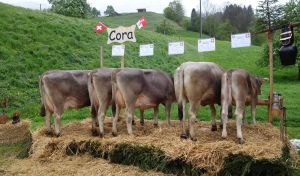 Cora von Moos Alois Sagenmatte